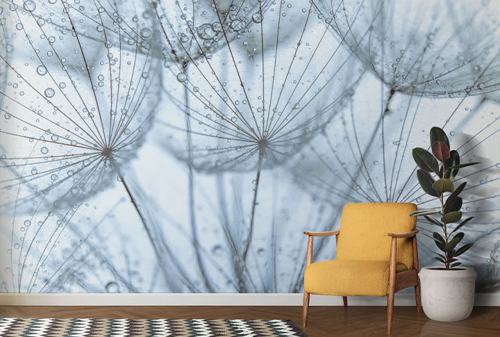 Фотообои Одуванчики