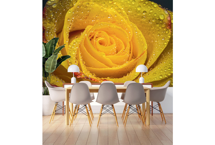 Фотообои «Желтая роза в каплях дождя» в интерьере