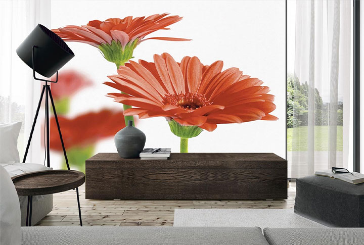 Фотообои Герберы