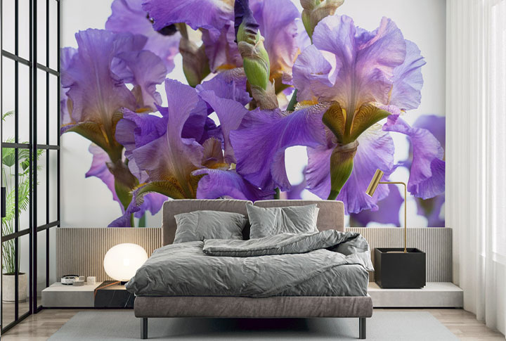 Фотообои Ирисы