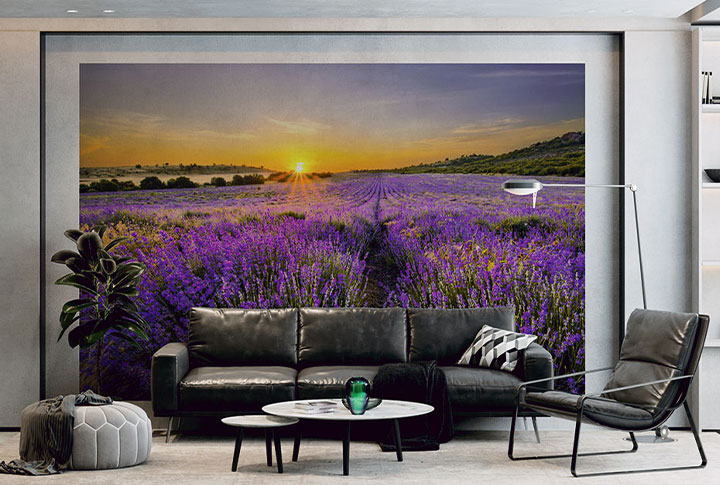 Фотообои Лаванда