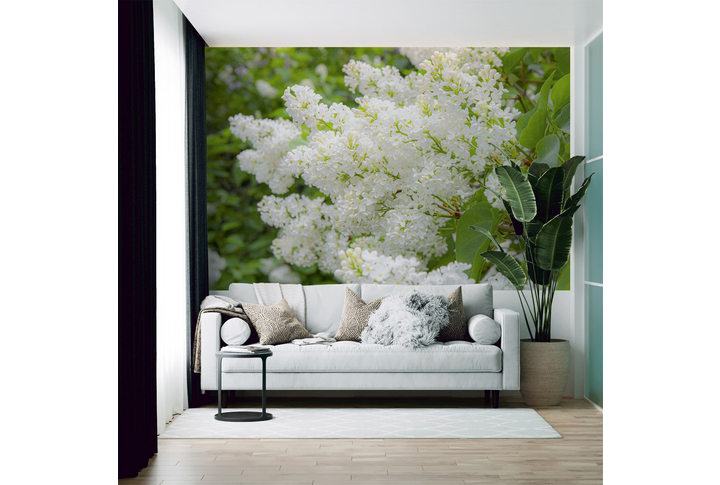Фотообои «Белая сирень весной» в интерьере