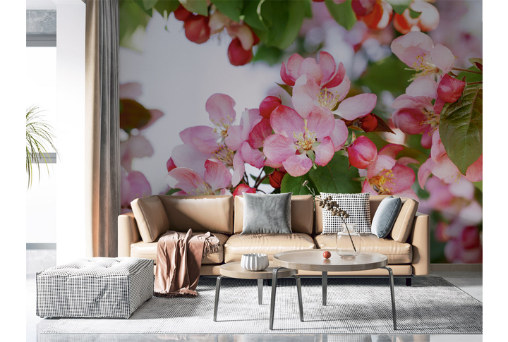 Фотообои «Цветущая яблоня весной» в интерьере