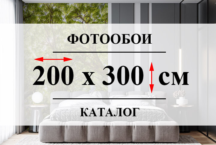Фотообои 200 х 300 см