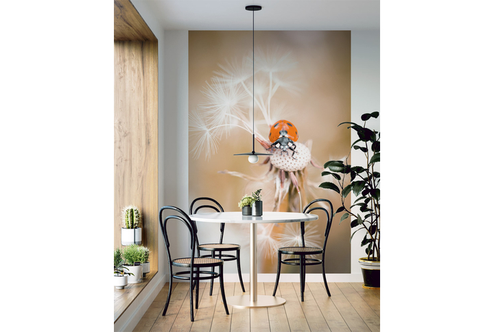 Фотообои «Божья коровка на опавшем одуванчике» в интерьере