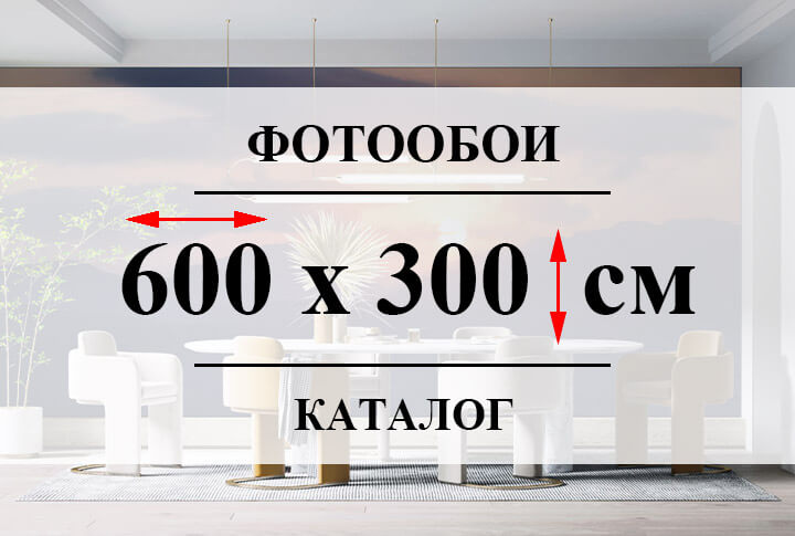 Фотообои 600 х 300 см