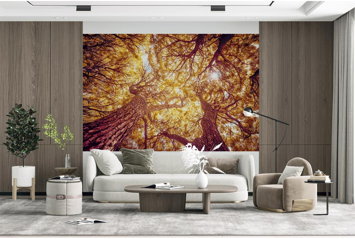 Фотообои «Кроны деревьев ивы в осеннем лесу» в интерьере