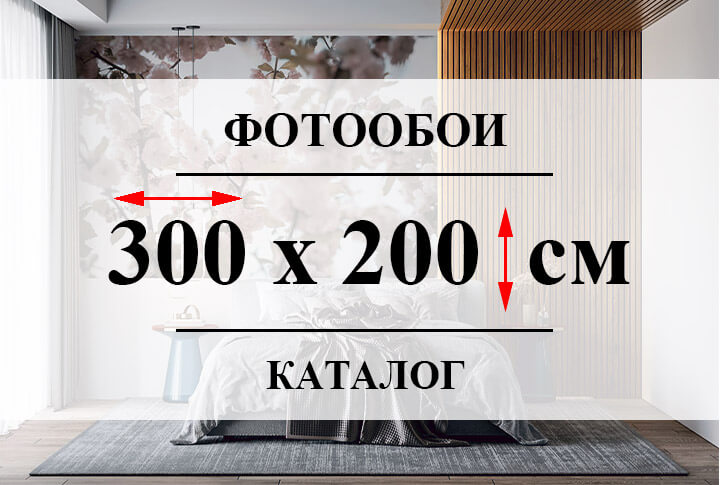 Фотообои 300 х 200 см