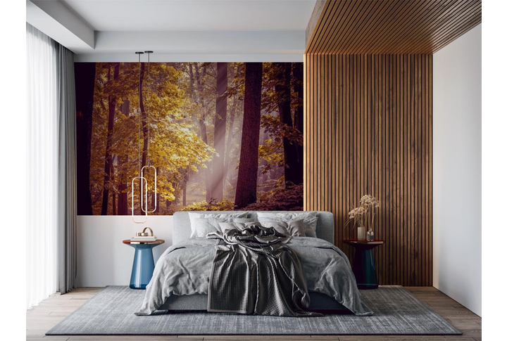 Фотообои «Лес в тумане, осенняя пора» в интерьере
