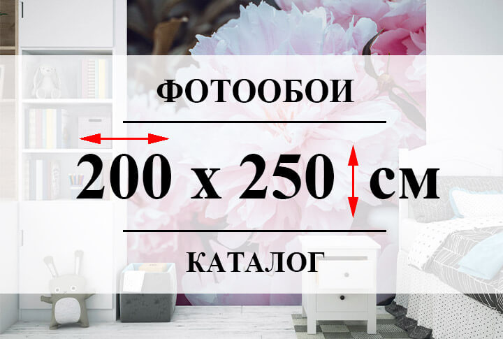 Фотообои 200 х 250 см