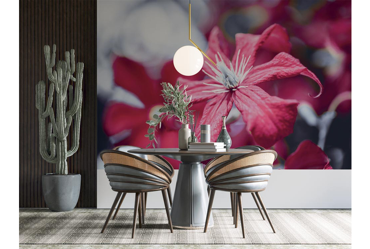 Фотообои «Красный цветок клематиса» в интерьере