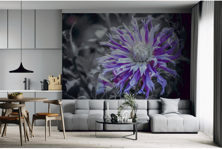Фотообои «Фиолетовая астра, большие цветы в черно-белом» в интерьере