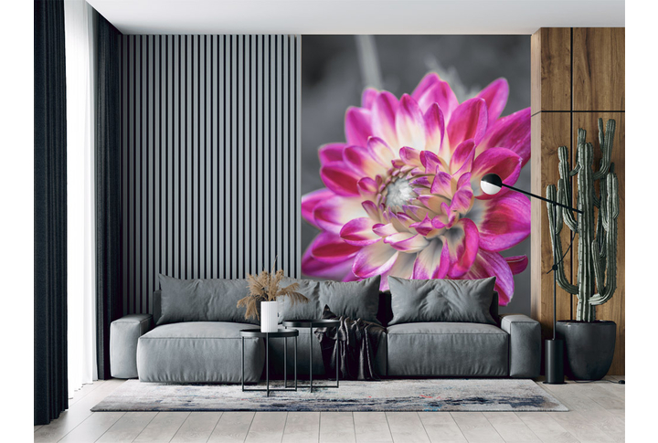 Фотообои «Красивый цветок георгины» в интерьере