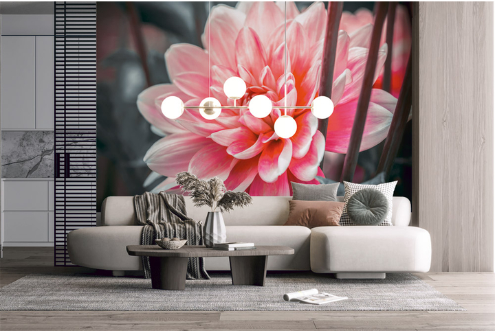 Фотообои «Алые лепестки астры, большой цветок» в интерьере