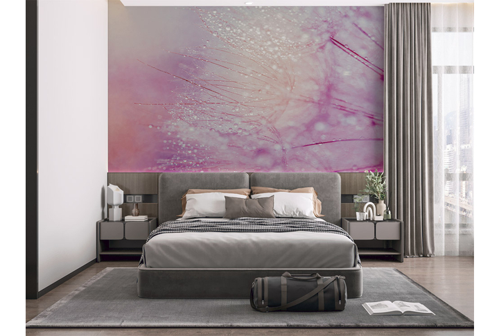 Фотообои «Одуванчик в каплях росы» в интерьере