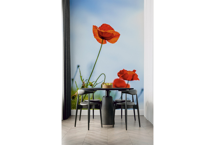 Фотообои «Красный мак на фоне голубого неба» в интерьере