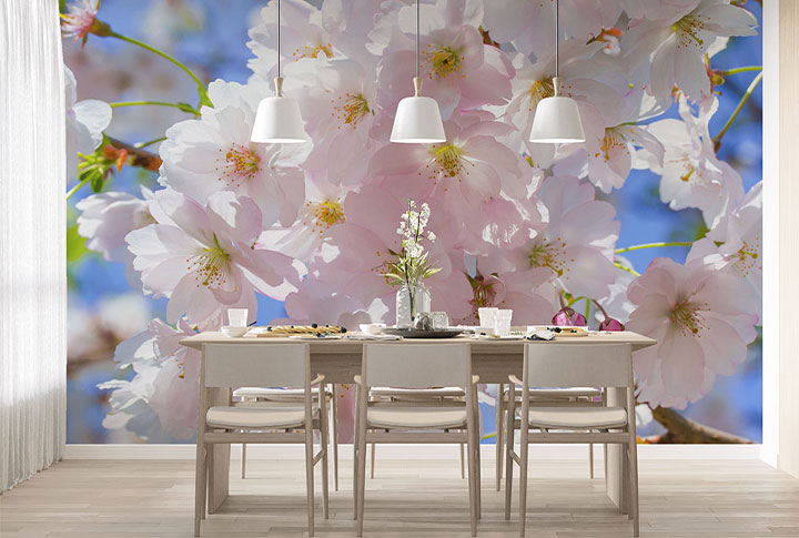 Фотообои Сакура