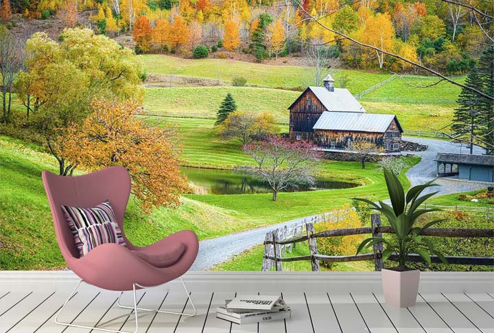 Фотообои Деревня