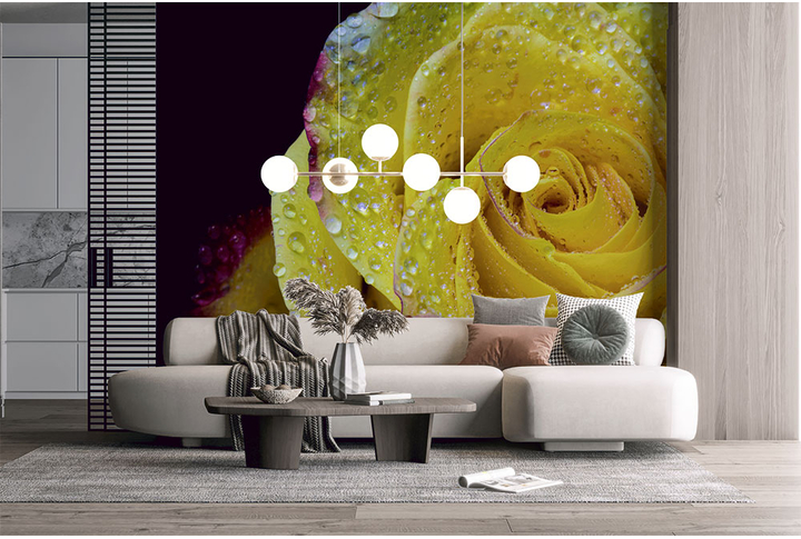 Фотообои «Желтая роза на темном фоне в каплях росы» в интерьере