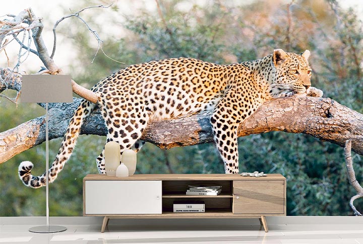 Фотообои Животные