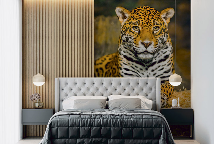 Фотообои Леопард, Пантера, Ягуар