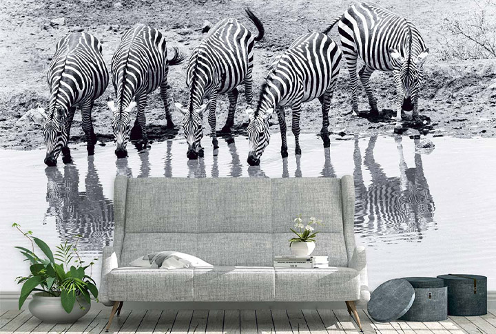 Фотообои Лошади, Зебры