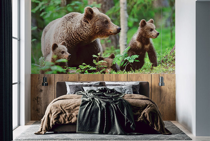 Фотообои Медведи, Панды