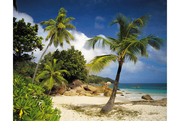 Фотообои «Praslin» (Праслен, Сейшельские о-ва)