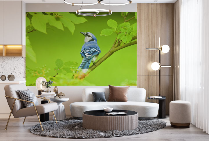 Фотообои Птицы