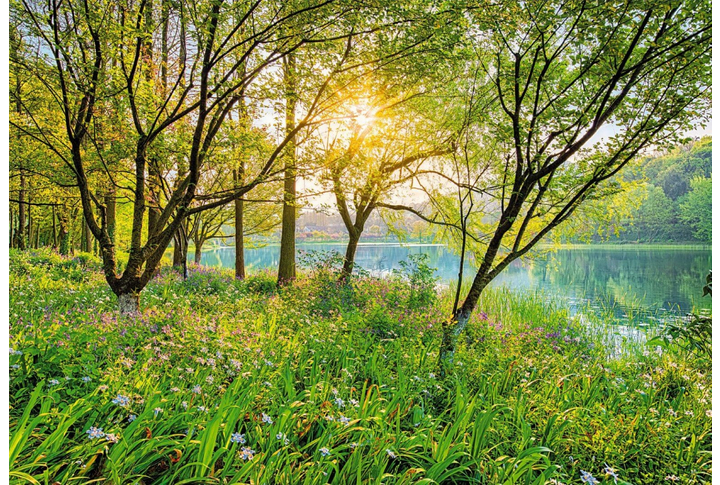 Фотообои «Spring Lake» (Весеннее Озеро)