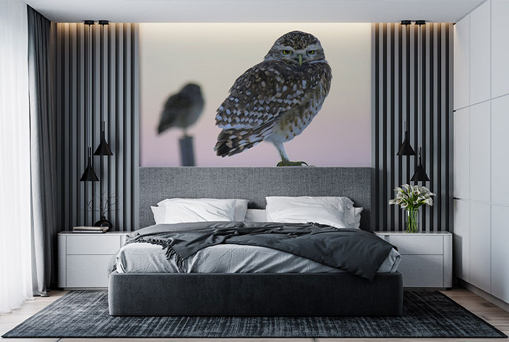 Фотообои Совы, Филины