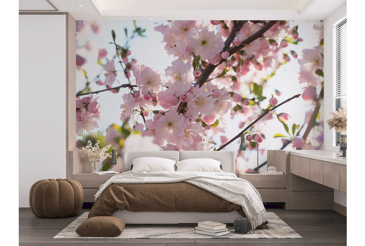 Фотообои «Нежная сакура на ветках» в интерьере