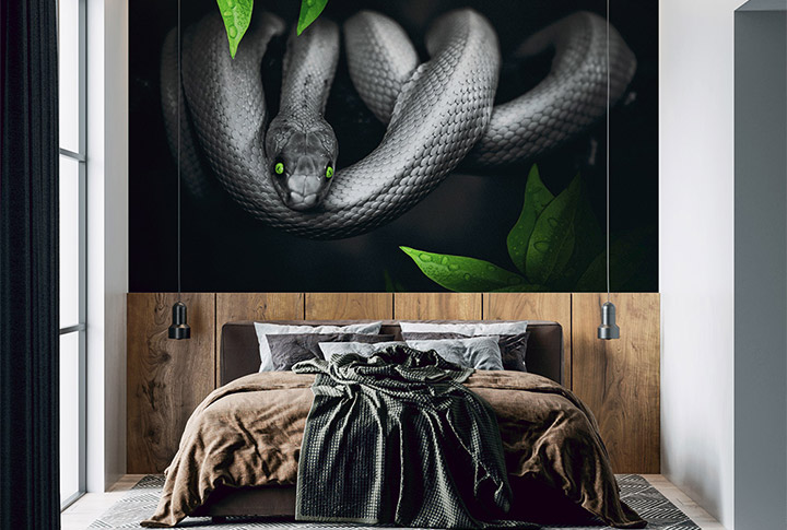 Фотообои Лягушки, Змеи, Черепахи