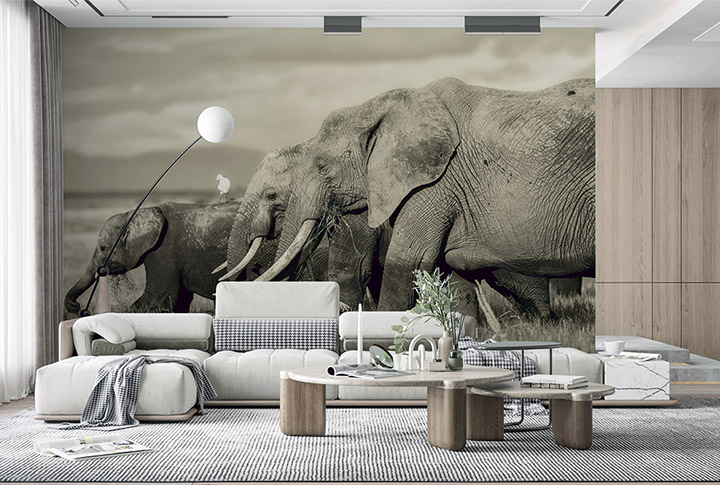 Фотообои Слон