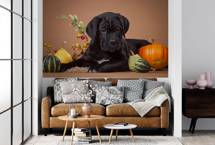 Фотообои Собаки