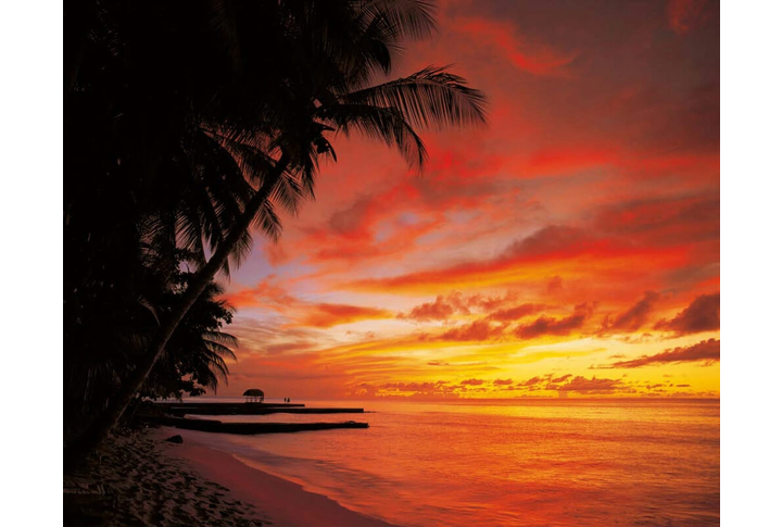 Фотообои «Tobago Sunset» (Закат на Тобаго)