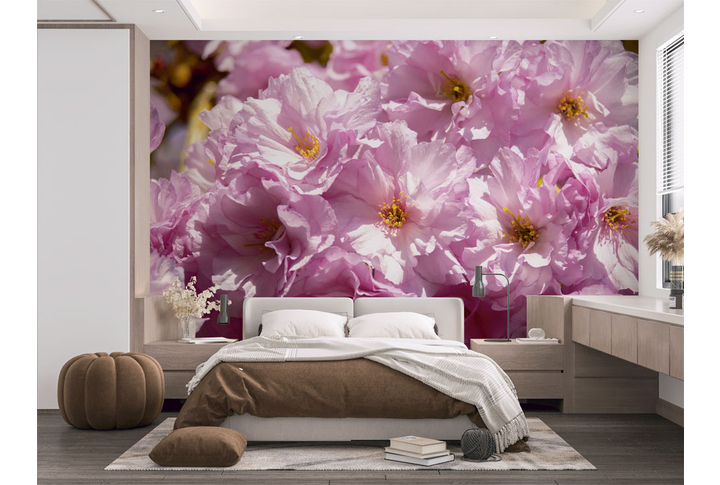 Фотообои «Большие цветы сакуры» в интерьере