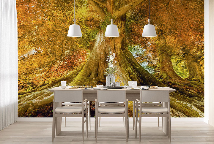 Фотообои Деревья