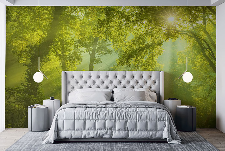 Фотообои Солнце