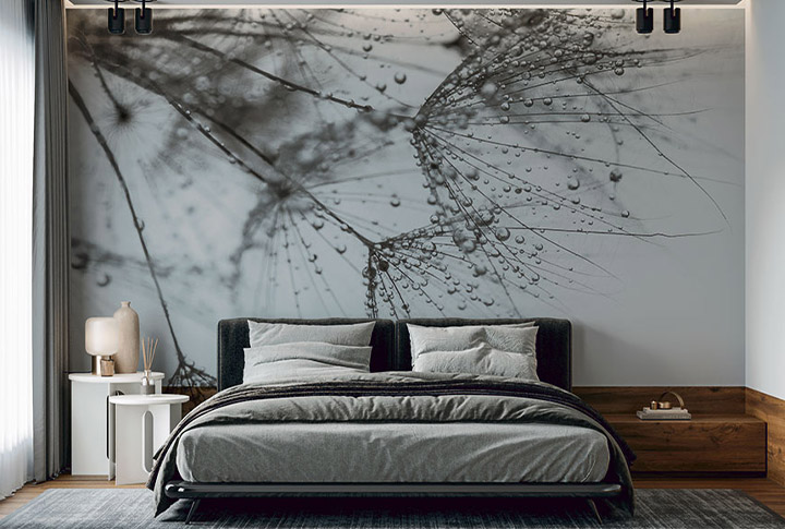 Фотообои Капли Дождя Росы