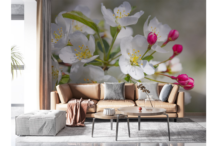 Фотообои «Яблоня белая» в интерьере