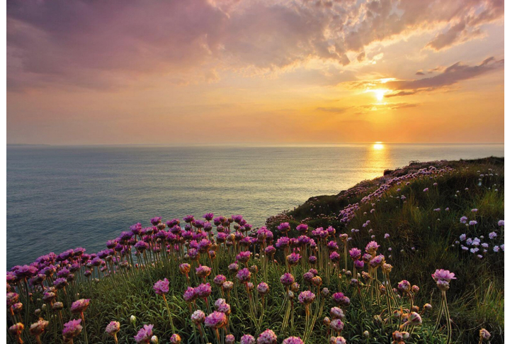 Фотообои «Lands End» (Край Земли)