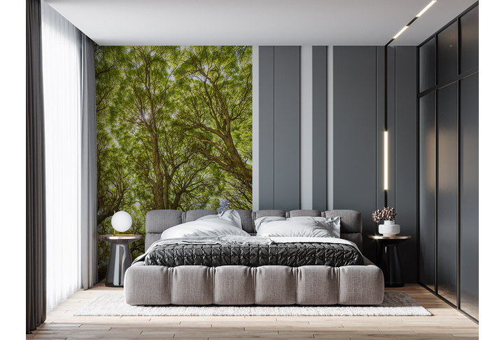 Фотообои «Ветки ивы, кроны деревьев в густом лесу» в интерьере