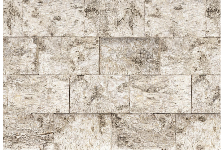 Фотообои «Bjork» (Кора)