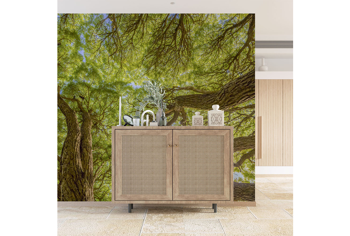 Фотообои «Ветки ивы, старые деревья в лесу» в интерьере