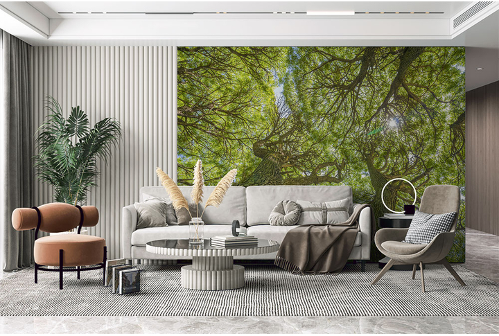 Фотообои «Деревья ивы в зелени в весеннем лесу» в интерьере