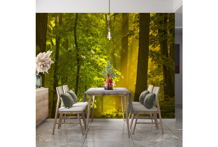 Фотообои «Лес в тумане, солнечные лучи» в интерьере