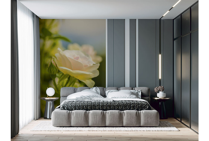 Фотообои «Утренняя роза в саду» в интерьере