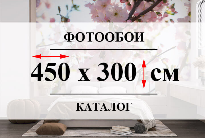 Фотообои 450 х 300 см