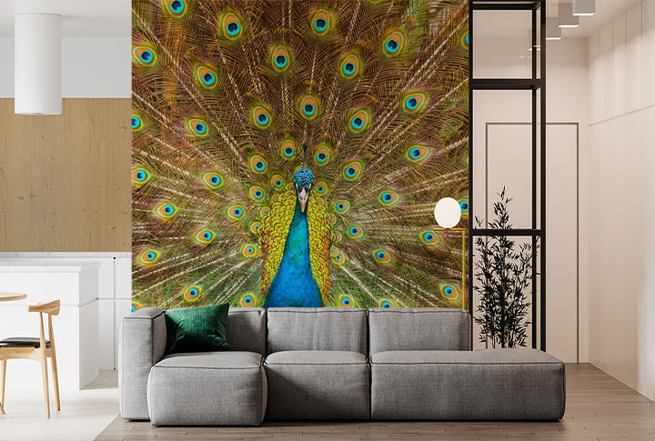 Фотообои Перья